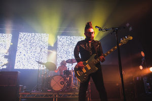 Feeder. Picture by: Aatish Ramchurn