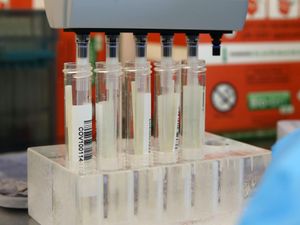 Supporting image for story: New Covid saliva test trialled ahead of planned use in Telford