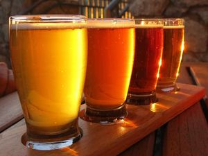 Supporting image for story: Shropshire Star Comment: The book that can remind us of happier times