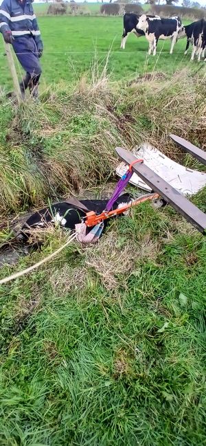 Firefighters carefully secured the cow with an animal rescue harness and straps, while the farmer’s telehandler helped lift the animal to safety. Picture: Amber Watch Wellington