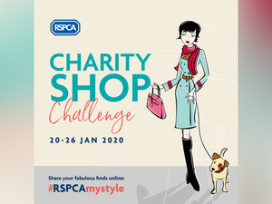 Supporting image for story: Shop secondhand to help the planet
 