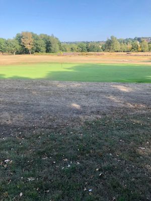 Contrast - one of the greens on the course at Penn Golf Club