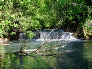 Supporting image for story: MP pledges to help resolve saga of dead horse suck in river for more than a month