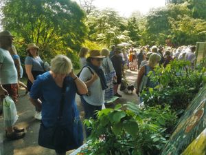 Hodnet Hall Gardens Plant Hunters' Fair