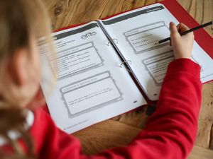 Supporting image for story: Most parents do not feel confident homeschooling – survey
