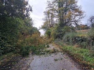 Supporting image for story: Police thank "fantastic" farmer who cleared tree debris causing blockage to Shropshire road 