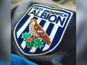 Supporting image for story: Save the throstle! West Brom fan highlights plight of threatened bird that gave club its identity