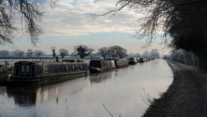 Resting up for Winter - Mich Richardson