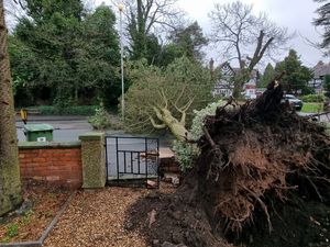 Supporting image for story: Flood alert raised and winds expected to pick up again after Storm Eunice havoc