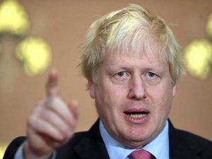 Supporting image for story: Doreen Tipton: Time to stick my neck out. . .