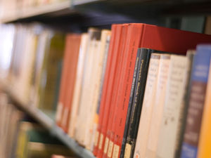 Supporting image for story: Sex lives of Tudors talking point at Wellington Festival