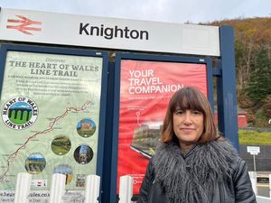 Supporting image for story: Welsh Lib Dems call for full devolution of rail powers to Wales and improved Heart of Wales services