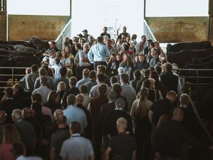 Supporting image for story: Hundreds of farmers to visit the UK’s largest Full-Blood Wagyu herd in Shropshire