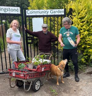 BOSF deliver food plants to Livingstone Community Garden
