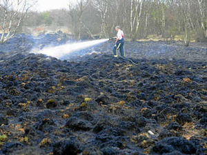 Supporting image for story: Suspected arson attack on Brownhills Common