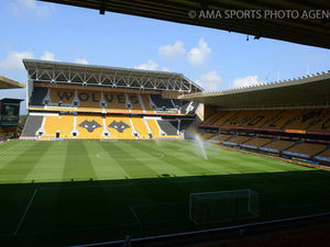 Supporting image for story: Wolves for sale: Five important questions