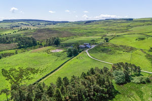 The farm is for sale