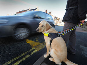 Supporting image for story: Call to help blind taxi users in Shropshire