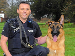 Supporting image for story: Two men with knives and a thief are no match for police dog Nico