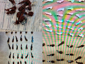 Supporting image for story: Traffic police catch fleeing drug dealer and return stolen car on Christmas Eve to owner