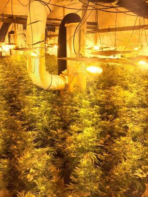 The interior of the drugs factory, picture @GtWyrleyPolice