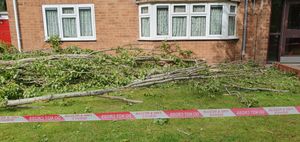 The third part of the tree fell towards Elliott Court