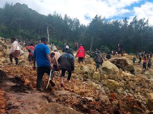 Supporting image for story: Survivors of massive Papua New Guinea landslide moved to safer ground