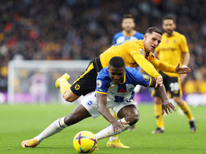 Supporting image for story: Wolves 2 Brighton 3 - Report 