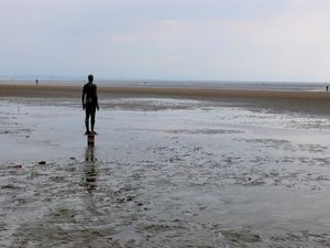 Nigel Mykura / CC BY-SA 2.0 via Wikimedia Commons