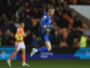 Supporting image for story: Shrewsbury Town look for cash boost in FA Cup clash with Notts County 