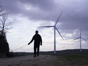 Supporting image for story: Communities could get cash for hosting solar farms and offshore wind schemes