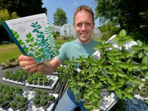 Supporting image for story: Sandwell couple cultivate business growing exotic herbs in tight spaces