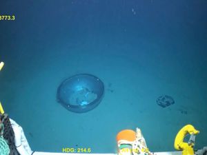 Supporting image for story: Things to know about this week’s evidence on the Titan sub disaster