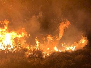 A fire at Catherton Common, Crumps Brook. Picture: Cleobury Mortimer Fire Station
