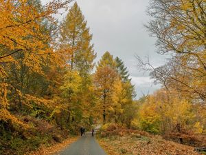 Supporting image for story: Half term fun at Canalside Farm