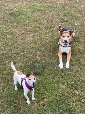 Daisy May with Trigger