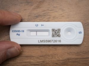 Supporting image for story: Lateral flow tests to stay free says minister amid reports they may be limited