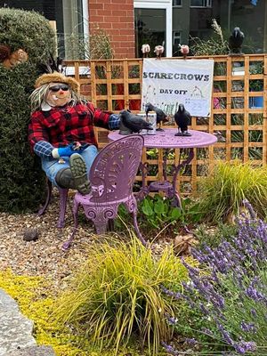 19 Sun grove ( scarecrow day off)