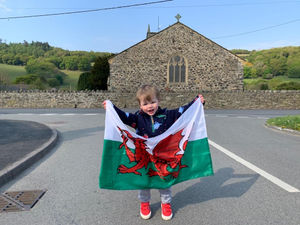 Supporting image for story: Little Harri cheers on legal and planning experts in lock down challenge