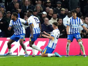 Supporting image for story: Fabian Hurzeler hopes Brighton can build on comeback victory over Tottenham