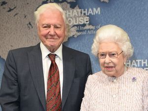Supporting image for story: Late Queen and David Attenborough named greatest British cultural figures