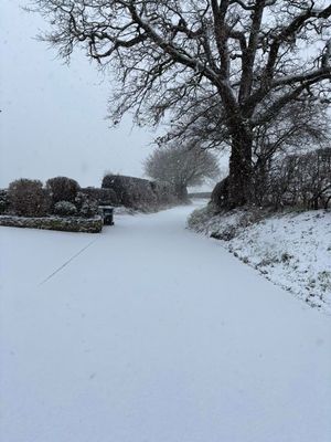 Snow falling in Grinshill. Photo: James Phillips