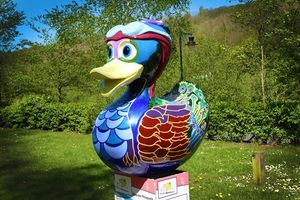 The giant ducks in Ironbridge. Photos: Shaun Dean