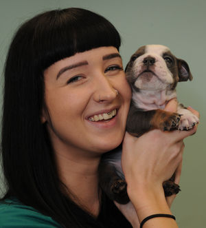 Abi Barton at Cavan Vets with bulldog puppy Arthur who is in need of vital surgery