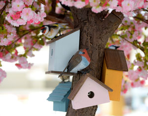 A model robin perched in the tree