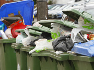 Supporting image for story: South Staffordshire residents given deadline to sign up for paid-for garden bin collections