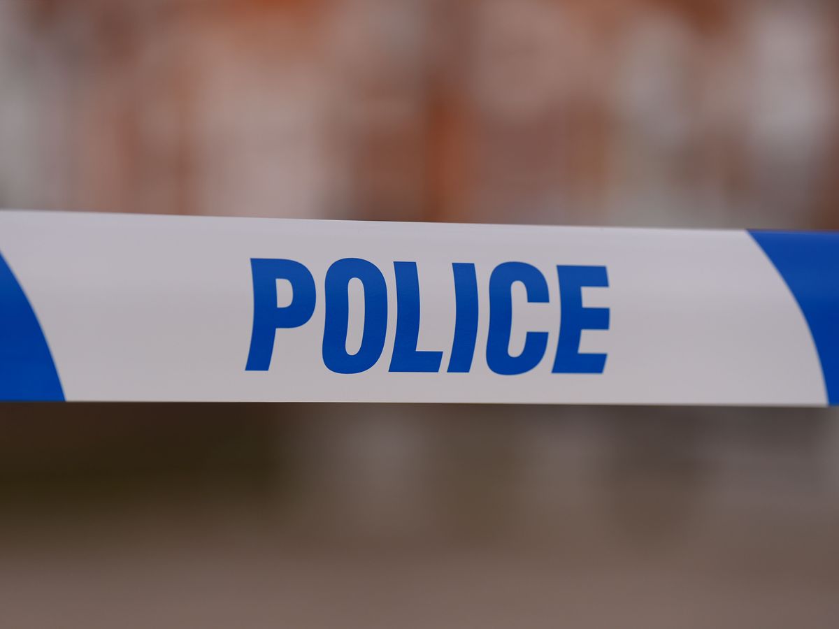 Baby dies after dog attack