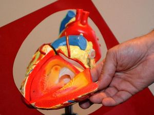 Supporting image for story: New quantum technology could help diagnose and treat heart condition