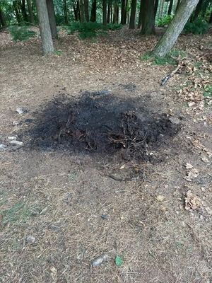 An abandoned campfire on the Wrekin caused a callout. Photo: Tweedale Fire Station