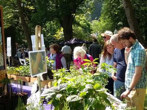 Supporting image for story: Spectacular garden event with the 'wow' factor to return